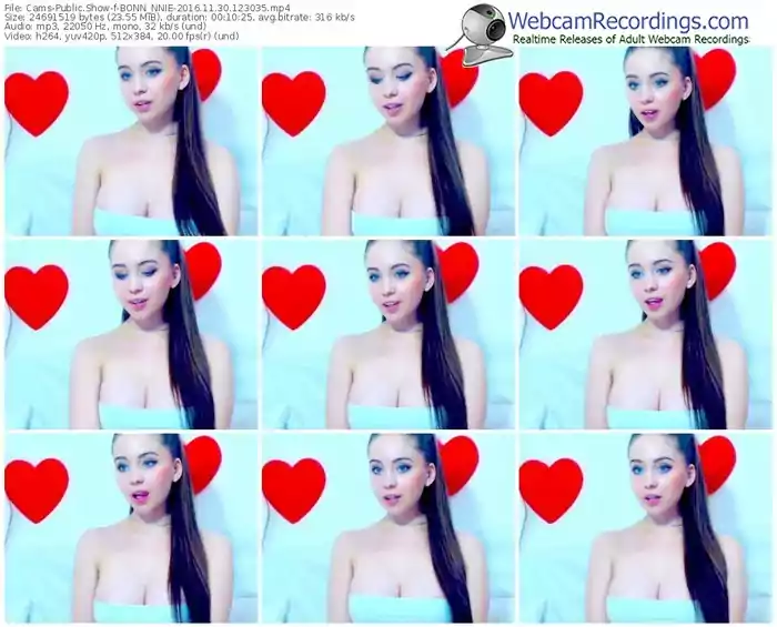cams-bonn_nnie-webcam-show-11_30_2016-12_30_35