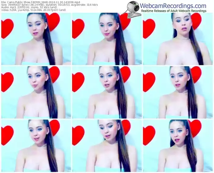 cams-bonn_nnie-webcam-show-11_30_2016-14_30_38