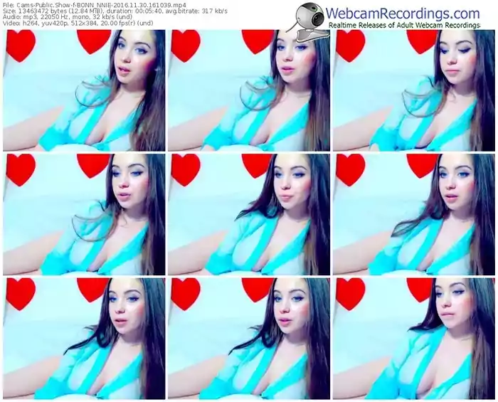 cams-bonn_nnie-webcam-show-11_30_2016-16_10_39
