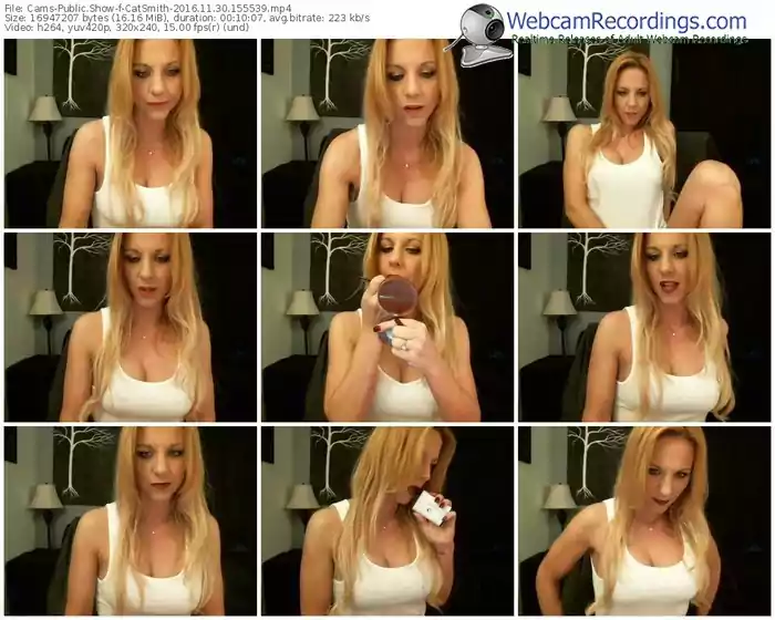 cams-catsmith-webcam-show-11_30_2016-15_55_39