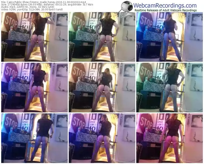 cams-home_made_honey-webcam-show-11_30_2016-00_10_22