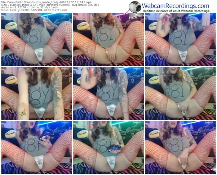 cams-home_made_honey-webcam-show-11_30_2016-19_10_42