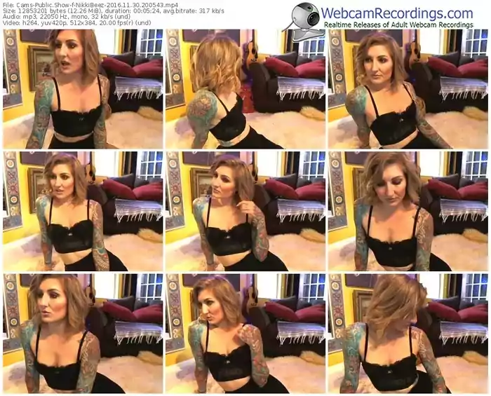 cams-nikkibeez-webcam-show-11_30_2016-20_05_43
