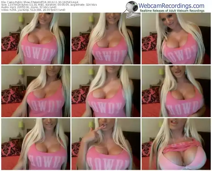 cams-takeitoff18-webcam-show-11_30_2016-19_25_43