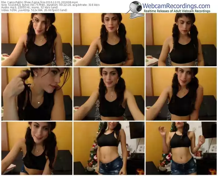 cams-gina_fire-webcam-show-12_01_2016-20_16_08