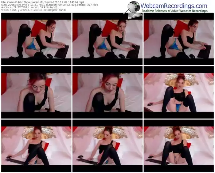 cams-adellerichards-webcam-show-12_02_2016-11_41_24