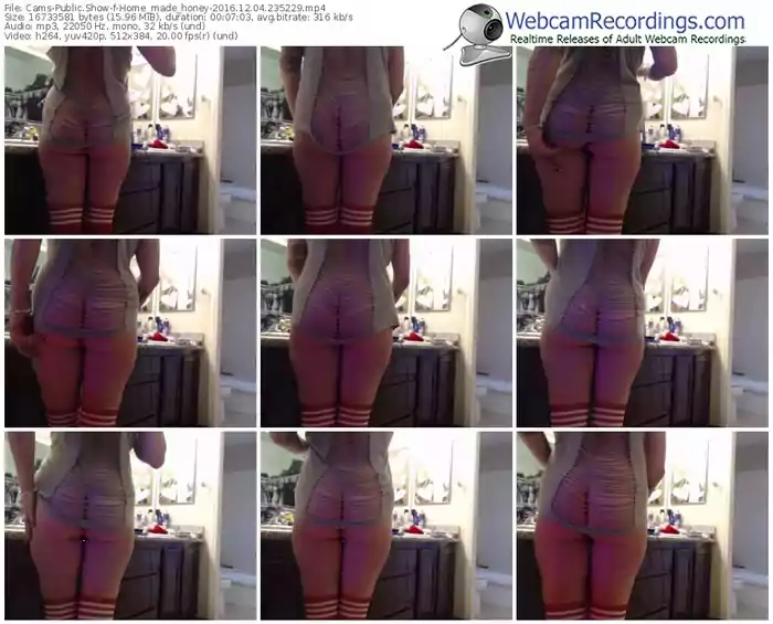 cams-home_made_honey-webcam-show-12_04_2016-23_52_29