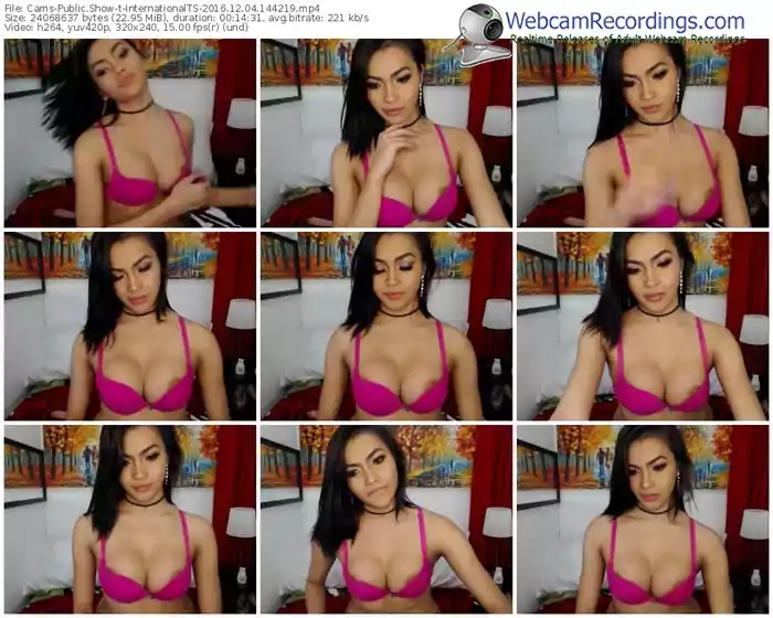 cams-internationalts-webcam-show-12_04_2016-14_42_19