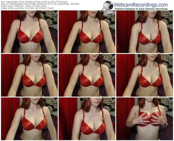 cams-amberxkitten-webcam-show-12_09_2016-17_59_29