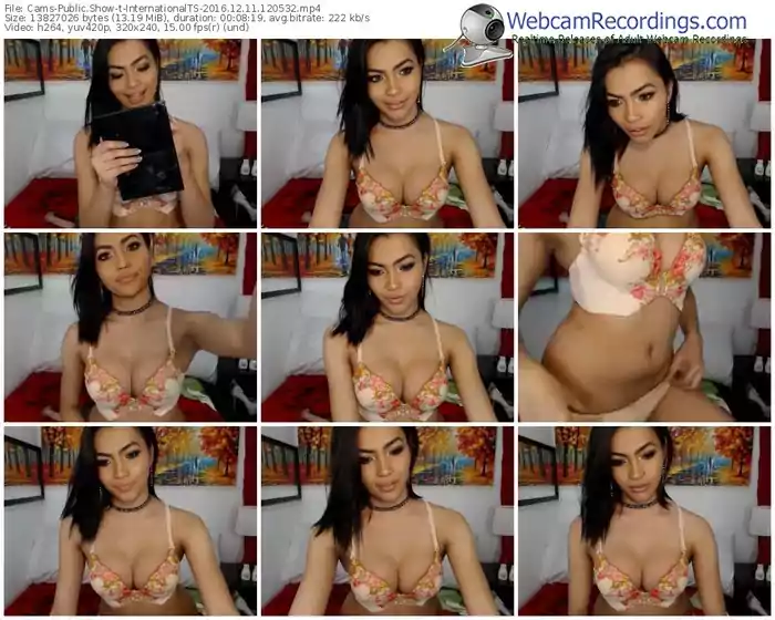 cams-internationalts-webcam-show-12_11_2016-12_05_32