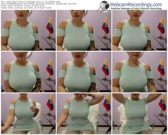 cams-scarleett-webcam-show-12_12_2016-13_55_42