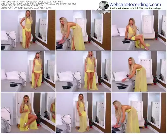 cams-perfectskye-webcam-show-12_13_2016-04_30_57