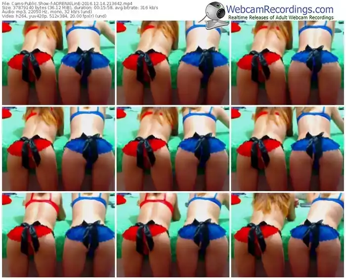 cams-adrenalline-webcam-show-12_14_2016-21_36_42