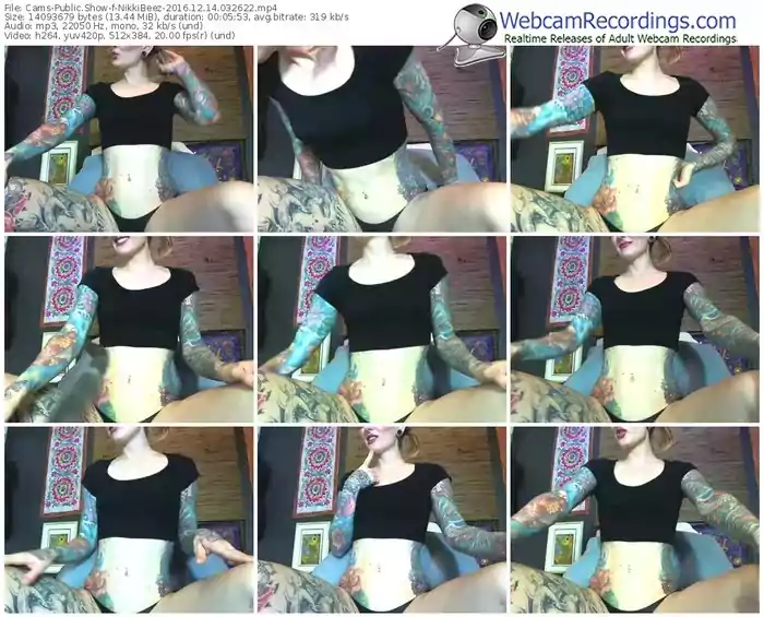 cams-nikkibeez-webcam-show-12_14_2016-03_26_22