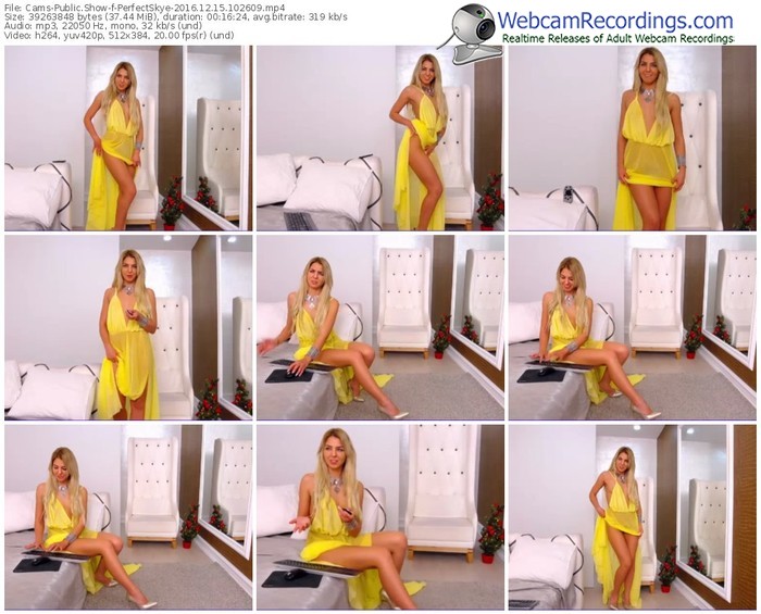 cams-perfectskye-webcam-show-12_15_2016-10_26_09