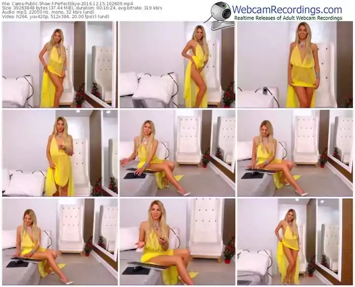 cams-perfectskye-webcam-show-12_15_2016-10_26_09