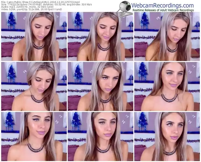cams-cutesexykitty1-webcam-show-12_20_2016-22_57_03