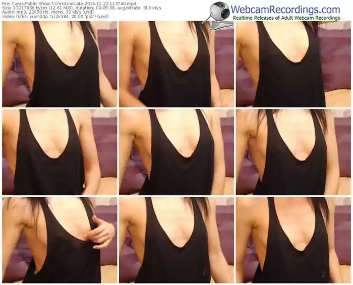 cams-christinecate-webcam-show-12_22_2016-11_37_40