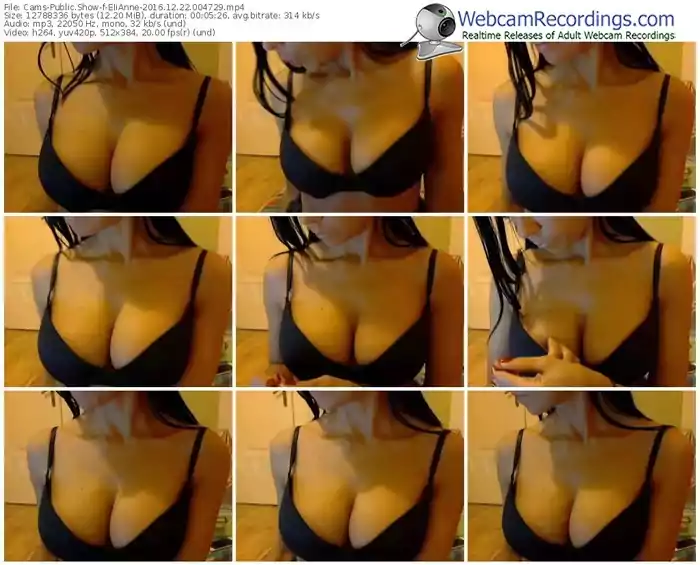 cams-elianne-webcam-show-12_22_2016-00_47_29