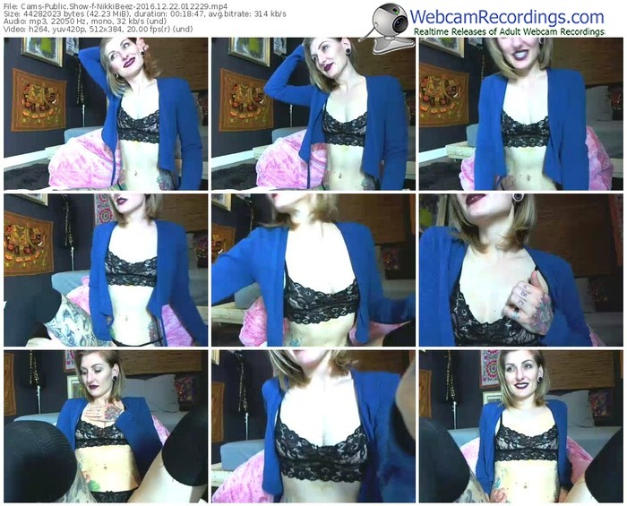cams-nikkibeez-webcam-show-12_22_2016-01_22_29