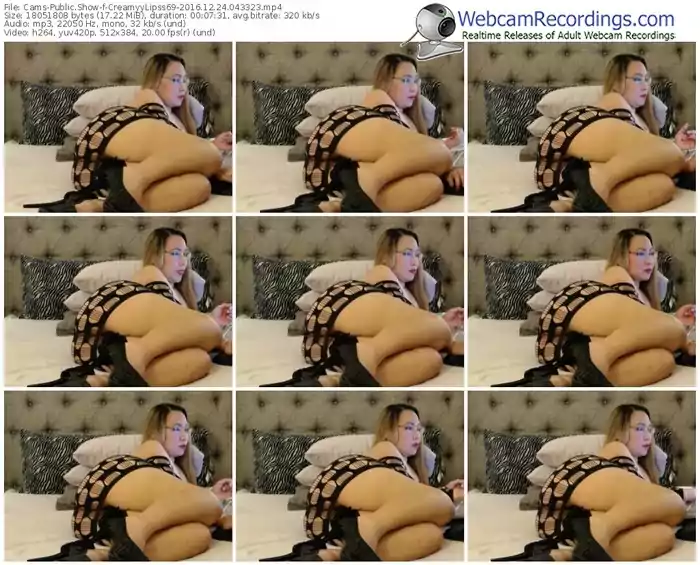 cams-creamyylipss69-webcam-show-12_24_2016-04_33_23