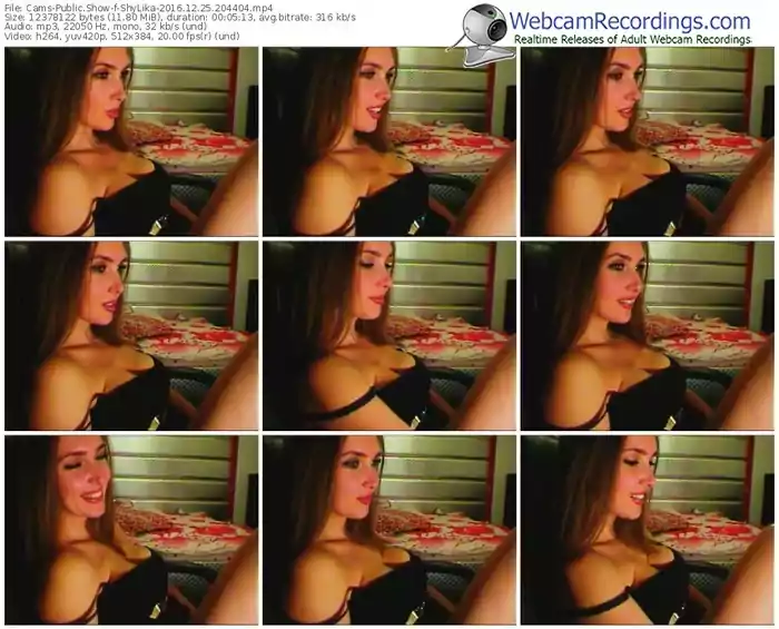 cams-shylika-webcam-show-12_25_2016-20_44_04