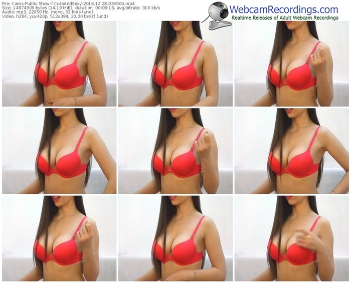 cams-cuteandsexy-webcam-show-12_28_2016-03_55_00