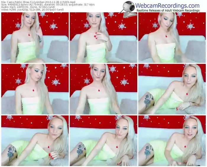 cams-lilyamber-webcam-show-12_28_2016-11_50_09