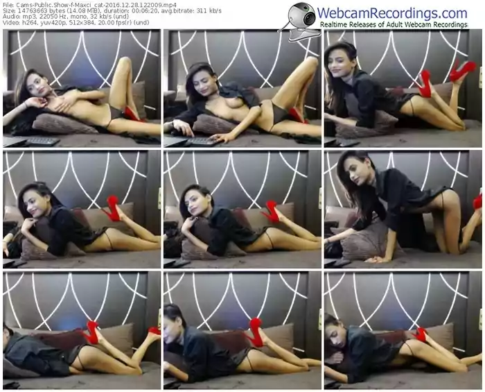 cams-maxci_cat-webcam-show-12_28_2016-12_20_09