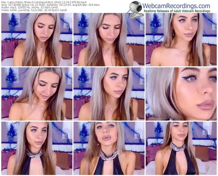 cams-cutesexykitty1-webcam-show-12_29_2016-13_55_36