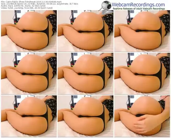 cams-andressk-webcam-show-12_30_2016-00_40_46