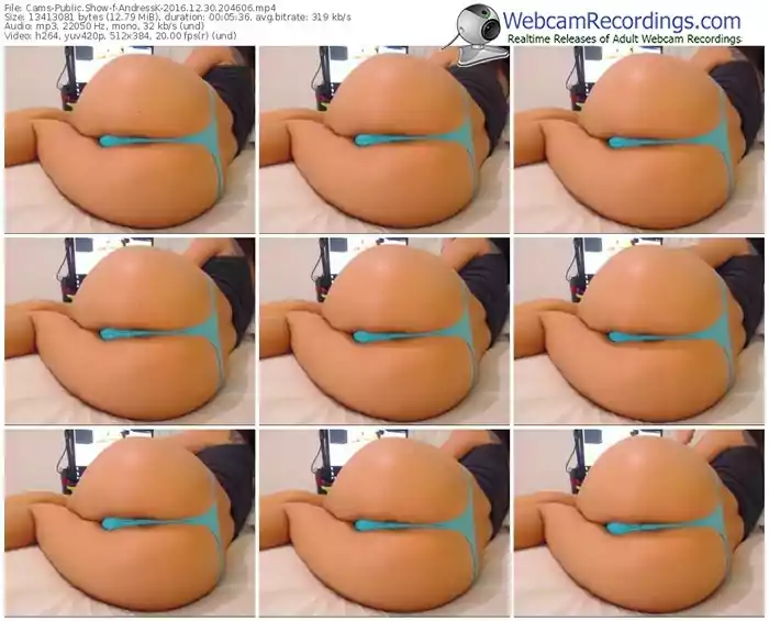 cams-andressk-webcam-show-12_30_2016-20_46_06