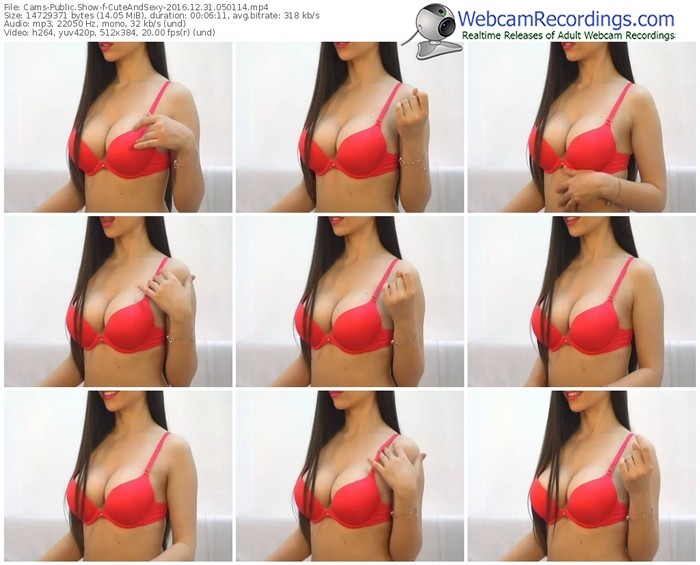 cams-cuteandsexy-webcam-show-12_31_2016-05_01_14