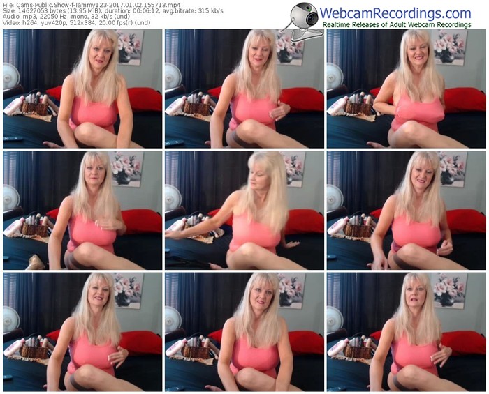cams-tammy123-webcam-show-01_02_2017-15_57_13