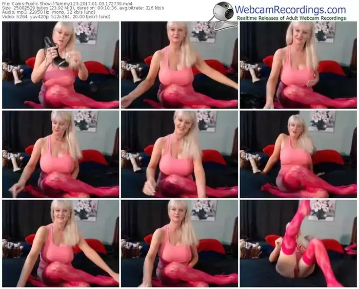 cams-tammy123-webcam-show-01_03_2017-17_27_39