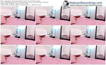 cams-donnaclark-webcam-show-01_04_2017-23_13_11