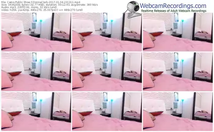 cams-donnaclark-webcam-show-01_04_2017-23_13_11