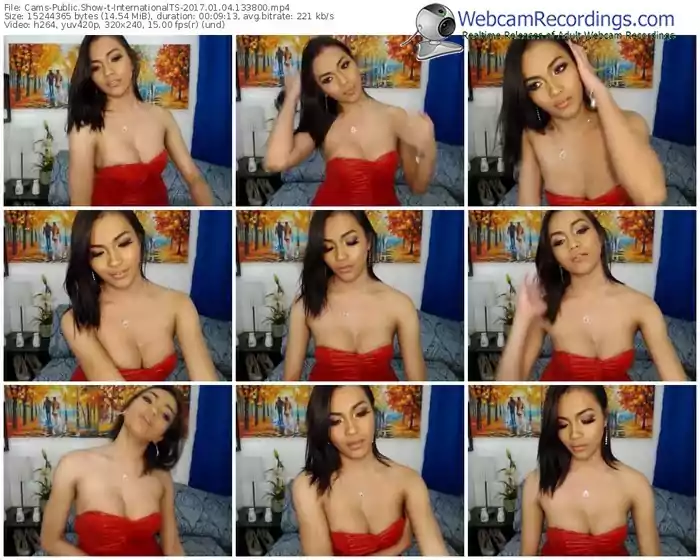 cams-internationalts-webcam-show-01_04_2017-13_38_00