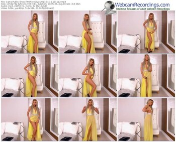 cams-perfectskye-webcam-show-01_12_2017-10_11_12