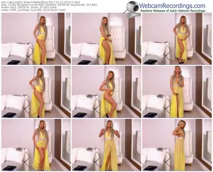 cams-perfectskye-webcam-show-01_12_2017-10_11_12