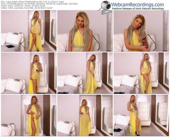 cams-perfectskye-webcam-show-01_12_2017-10_51_11