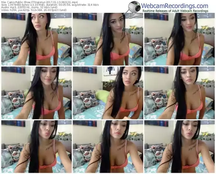 cams-tinajonur-webcam-show-01_13_2017-06_01_31