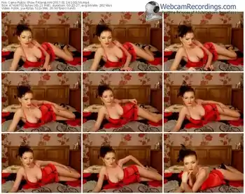 cams-klaralinik-webcam-show-01_14_2017-10_01_59