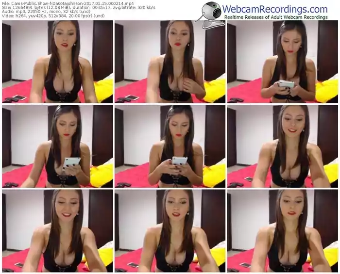 cams-dakotajohnson-webcam-show-01_15_2017-00_02_14