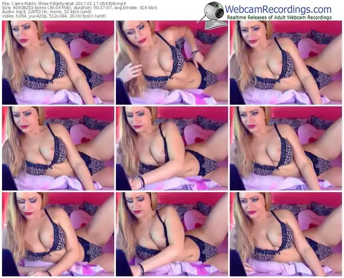 cams-barbyekat-webcam-show-01_17_2017-05_43_08