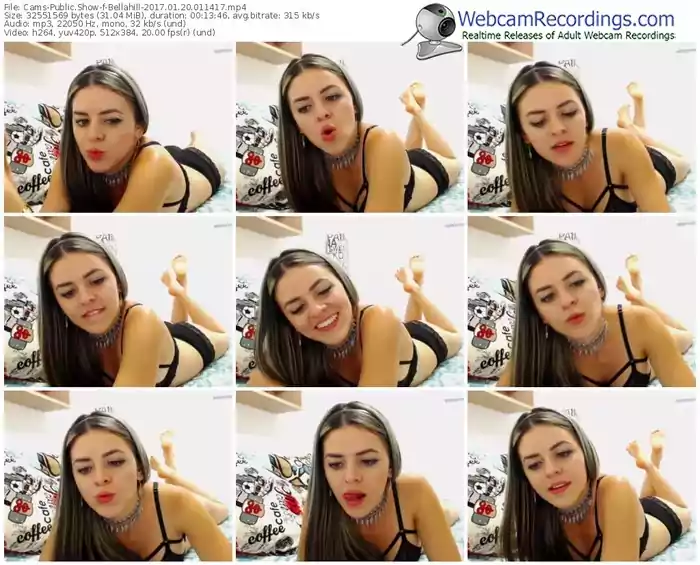 cams-bellahill-webcam-show-01_20_2017-01_14_17