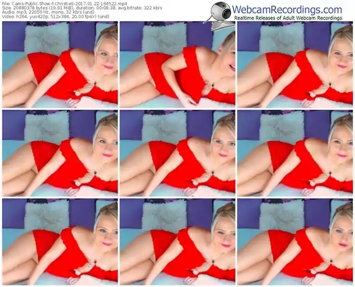 cams-christies-webcam-show-01_22_2017-16_45_22