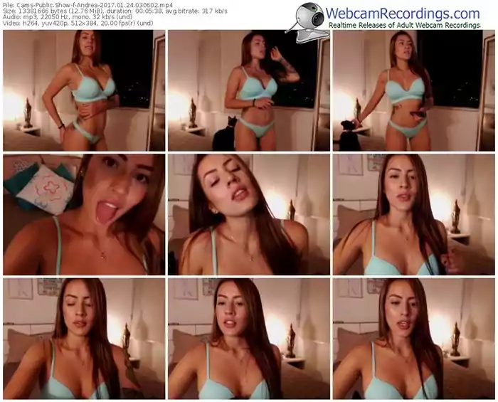 cams-andrea-webcam-show-01_24_2017-03_06_02