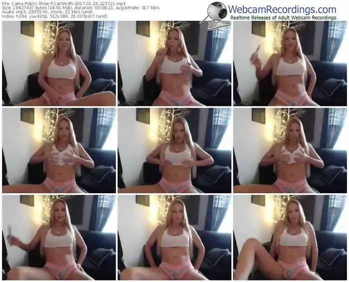 cams-catsmith-webcam-show-01_26_2017-22_37_21