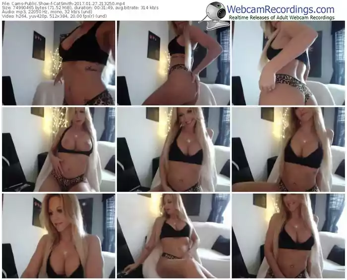 cams-catsmith-webcam-show-01_27_2017-21_32_50